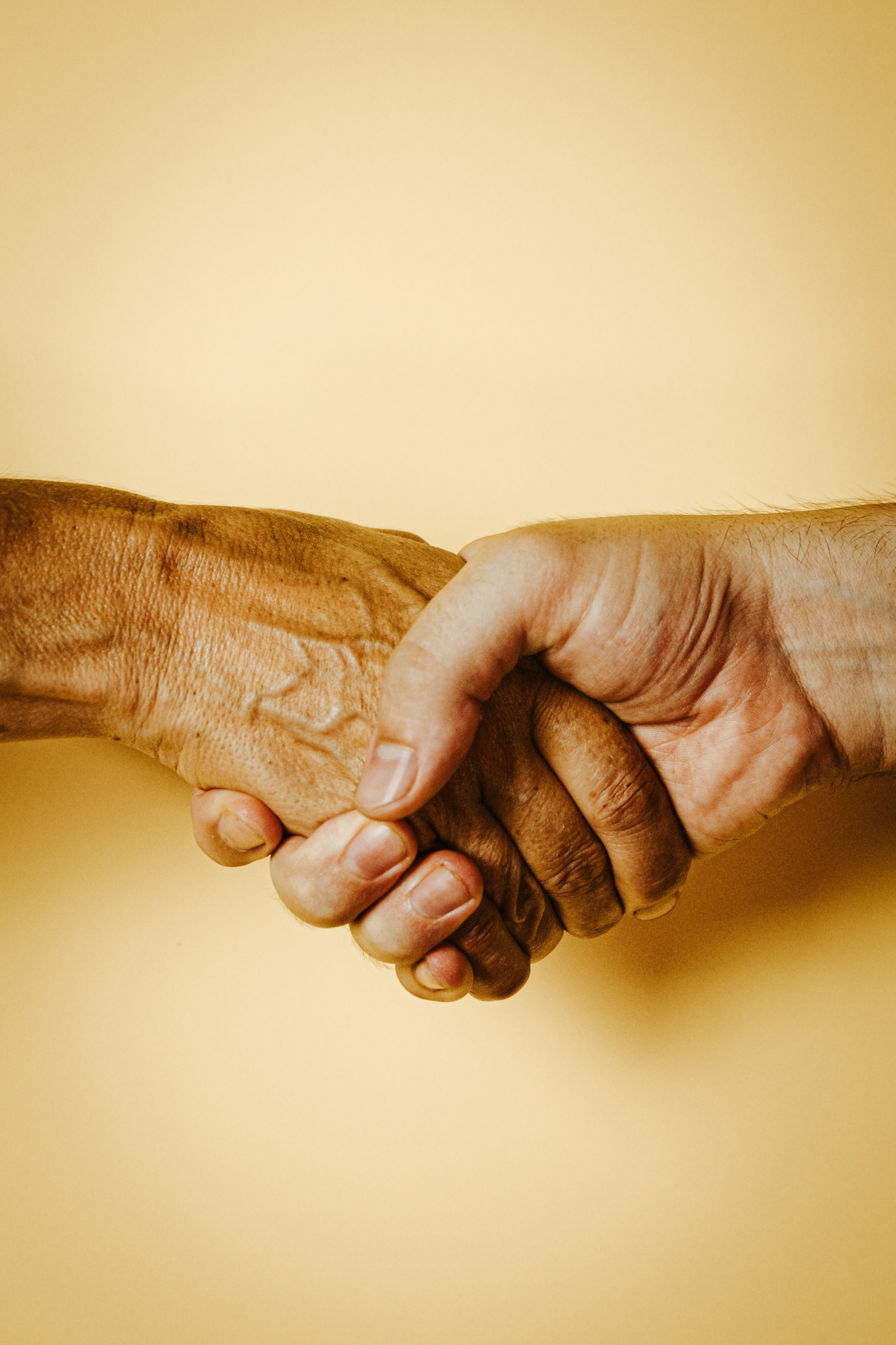 Two people shaking hands with diverse skin tones.