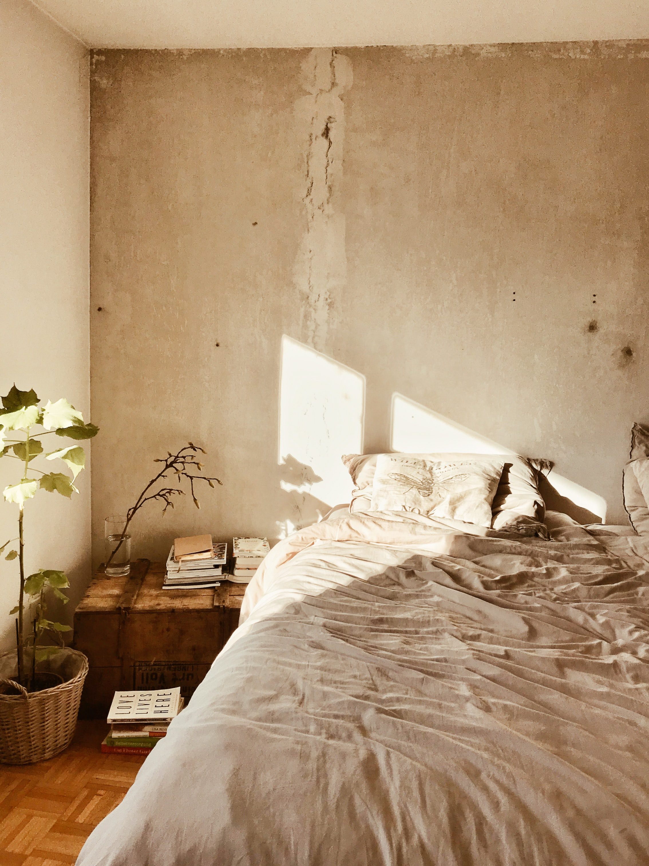 A bedroom scene: an empty bed with slept-in covers, a bedside table with piles of books, a few house plants.